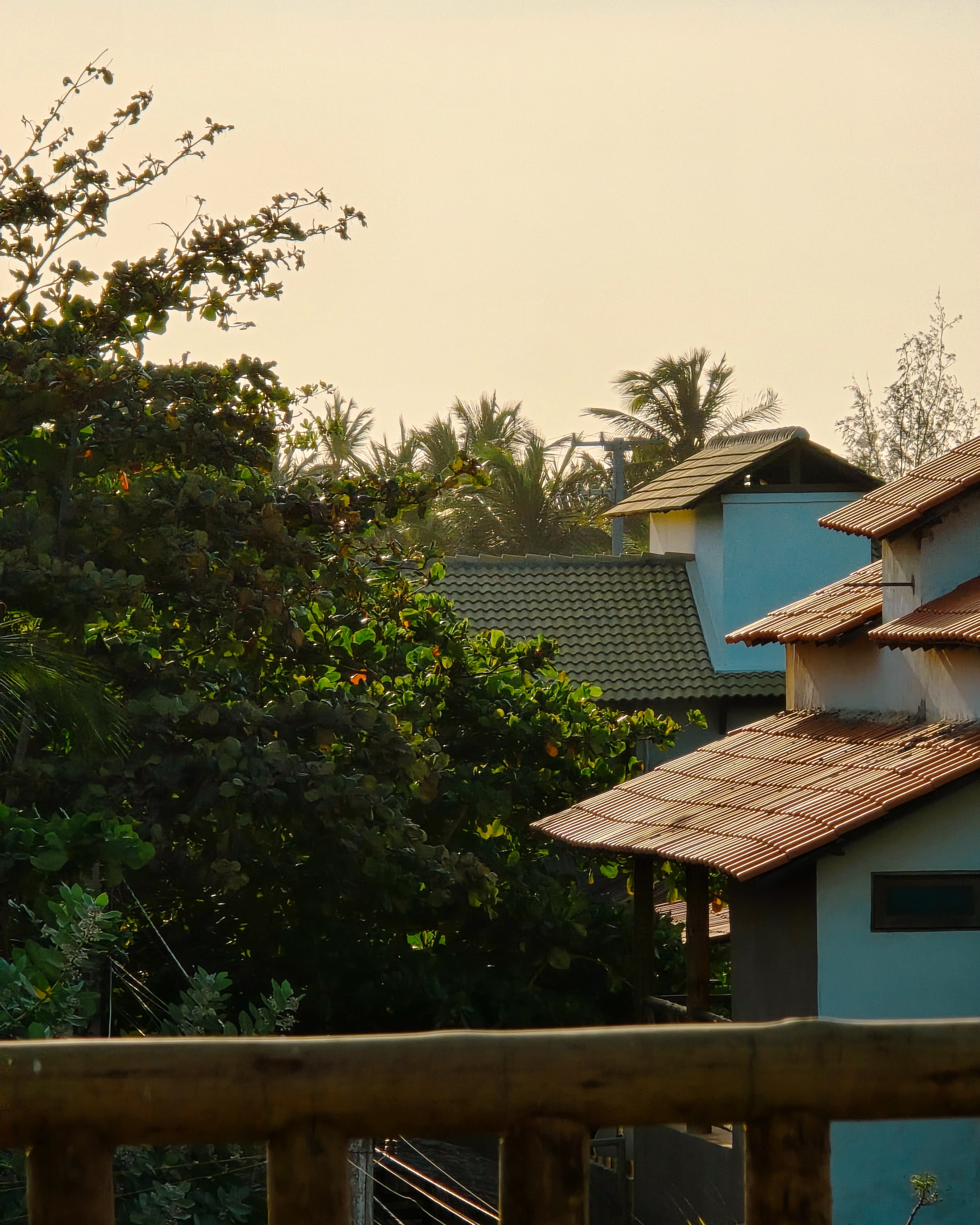 Lush tropical trees and terracotta tiled rooftops bathed in the warm light of sunset.